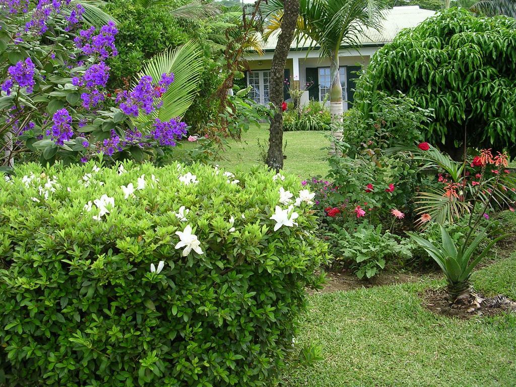 Bed and Breakfast Chez Mamie Les Avirons Exterior foto
